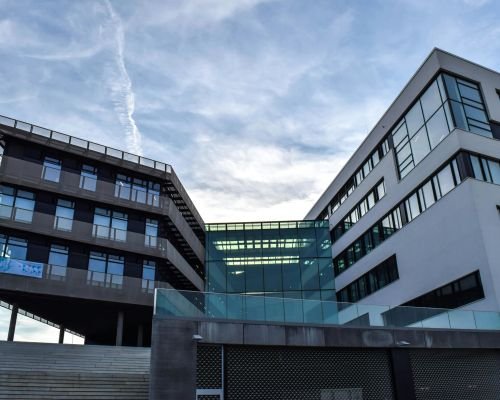 pexels-pixabay-267501